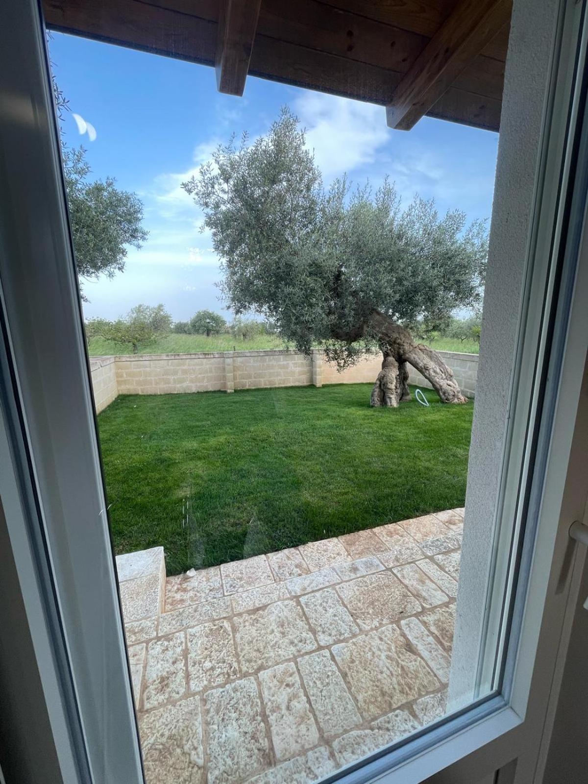 Masseria Fanizzi Conversano Ruang foto